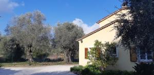 Maisons d'hotes La Bastide Grassinque : photos des chambres