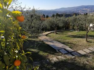 Les lodges de l'oliveraie de Virevent : photos des chambres