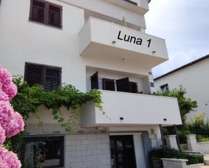 Luna 1