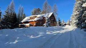 Chata Veverička Oravská Lesná