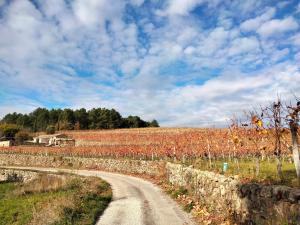 B&B / Chambres d'hotes Le Relais des Bouziges : photos des chambres