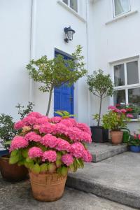 Guaire House Killarney