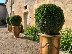B&B / Chambres d'hotes Logis de La Touche : photos des chambres