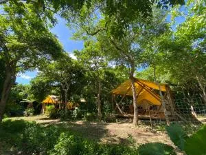 RAINBOW FOREST Permaculture filed - Vacation STAY 13693v - Tōzato