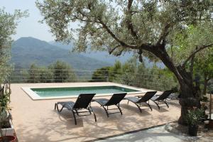 OLIVAR de S’HERETAT Trekkingruta GR-221 (ETV2099)