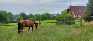 B&B / Chambres d'hotes Relais equestre du Miloir - chambres d'hotes : photos des chambres