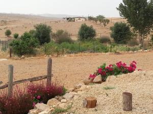 Matnat Desert Farm