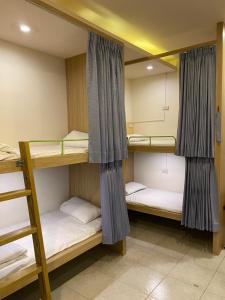 Giường Tầng trong Phòng ngủ Tập thể dành cho cả Nam và Nữ 10 Giường (Bunk Bed in 10-Bed Mixed Dormitory Room)