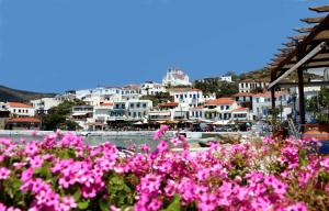 Karanasos Andros Greece