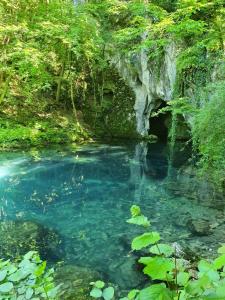 Vila Vera Borsko Jezero