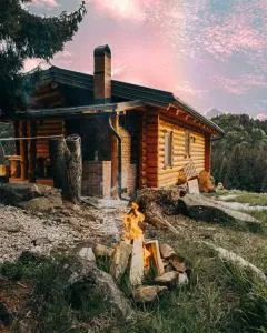 Cabana Paulownia - 波耶尼莱伊泽