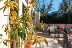 Maria’s home with Terrace, close to the Beach