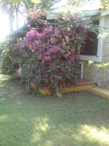 -EXCLUSIVE PRIVATE VILLA- Villasimius img40