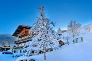 Schrahlehen - Hallmoos