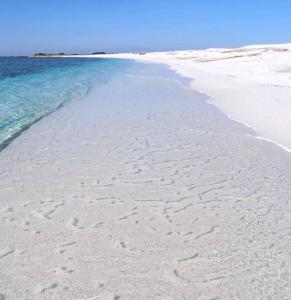 La dolce vita , fronte mare img44