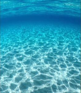 La dolce vita , fronte mare img37