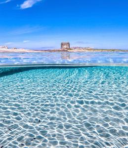 La dolce vita , fronte mare img30