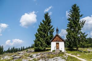 Ferienwohnung in Unterwirts Almhütte auf der Winklmoosalm