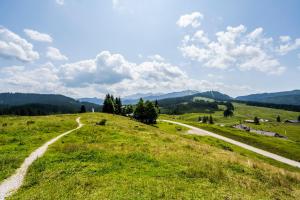 Ferienwohnung in Unterwirts Almhütte auf der Winklmoosalm