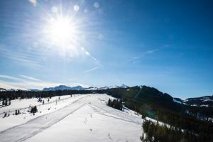 Ferienwohnung in Unterwirts Almhütte auf der Winklmoosalm