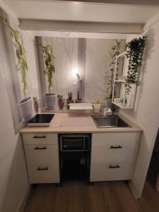 Appartements Vendome studio rosso superbe centre ville : Appartement 1 Chambre
