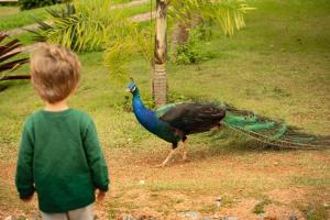 Pousada Campestre Vila Tiradentes