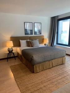 Oporto Chic & Cozy - Oliveiras