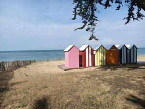 Maisons de vacances Pomme de Pin et Mimosa : photos des chambres