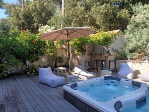 Pomme de Pin et Mimosa