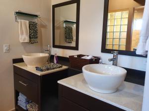 The Apt @Hacienda Rancho Santini