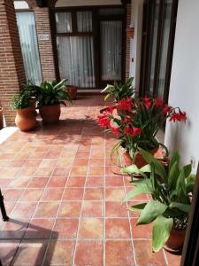 Apartamentos La Barataria especial WARNER