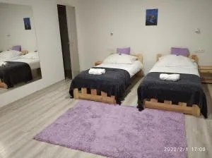 Penzion Tvrz Dub u Tábora - Mladá Vožice