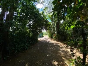 Andrea Cristina - 萨拉皮基