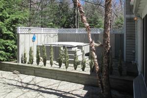 Azure Forest Pool House