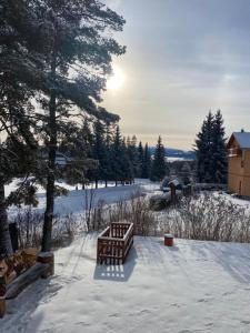 3 Sosny Apartments - Suite 1