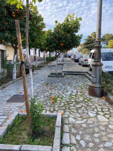 Sevilla. Gerena Casa Rural para familia o profesionales