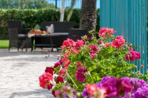 Hotel Ristorante Il Vascello img62