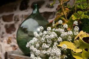 Appartements ANNO 1698 Gites et Chambres d'Hotes : photos des chambres