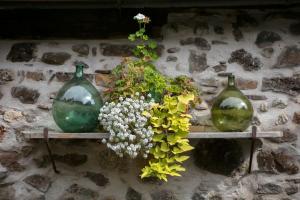 Appartements ANNO 1698 Gites et Chambres d'Hotes : photos des chambres