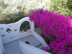 Skyros Junior Studios Skyros Greece