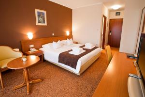 Double Room with Balcony room in Spa & Wellness Hotel Pinia
