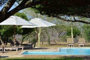 Bayala Private Safari Lodges