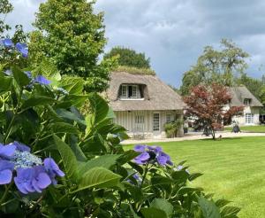 Maisons de vacances LES 2 CHAUMIERES Piscine & Spa : photos des chambres