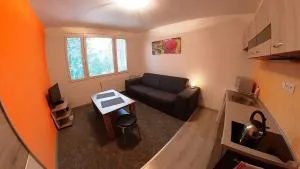 Garsonka Hliník - Číměř