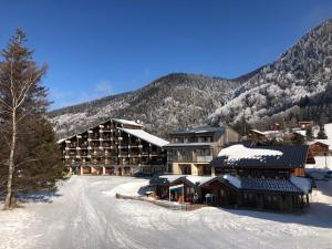 Appartements Superbe studio au pied des pistes : photos des chambres