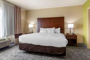 Comfort Inn Bentonville - Crystal Bridges