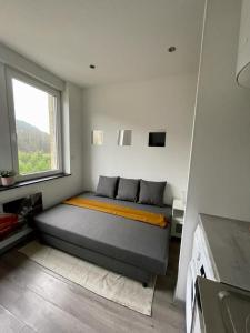 Appartements Sympathique petit Studio a la frontiere du Luxembourg : photos des chambres