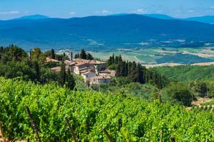 Via Puccini, 4, Loc. Fonterutoli, 53011 Castellina in Chianti SI, Italy.