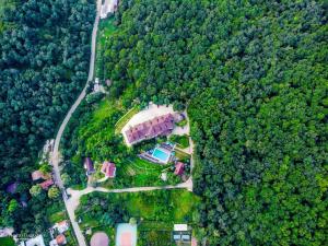 Casa cu Tei - Sarata Monteoru