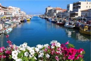 Appartements Appt T2, Piscine, la Plage a 130m! Parking prive clos, Lave-linge, Lave-vaisselle, Draps, Linge et Menage inclus! : photos des chambres